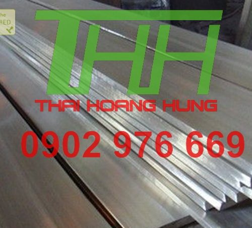 La đúc inox 304 8x60mm